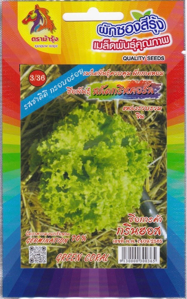 RAINBOWHORSE 🇹🇭 ผักซอง ม้ารุ้ง Z3/36 กรีนคอรัล เมล็ดพันธุ์ ผักกาดหอม สลัดกรีนคอรัล ผักซอง เมล็ดพันธุ์ผัก เมล็ดผัก ผักสวนครัว